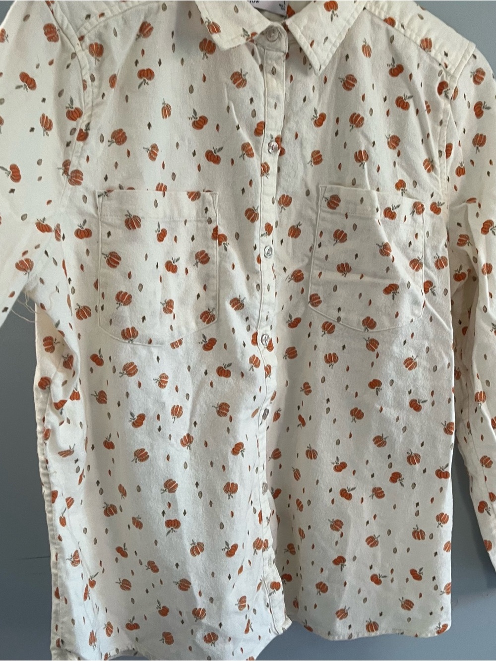 Fall Button Down Shirt - Picture 5 of 8